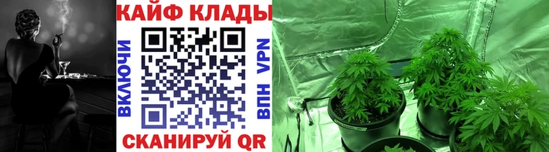 Купить закладку КОКАИН Конопля А ПВП АМФЕТАМИН Меф мяу мяу Гашиш Курчатов