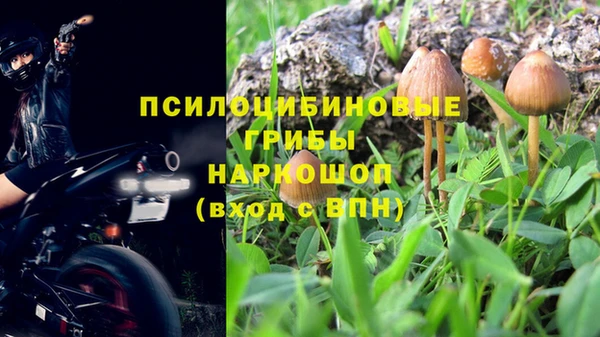 тгк Армянск