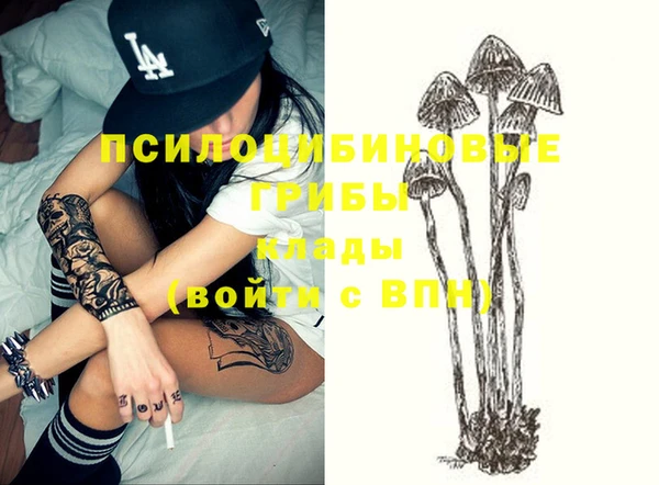 стафф Баксан
